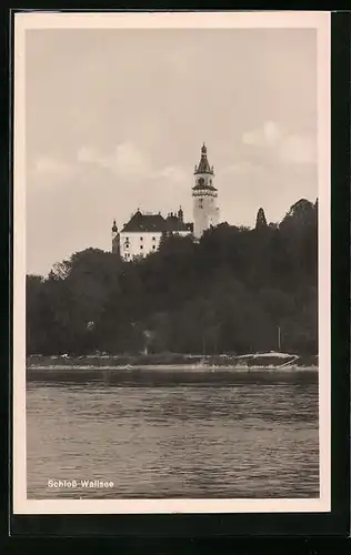 AK Wallsee, Ansicht des Schlosses mit Uferpartie