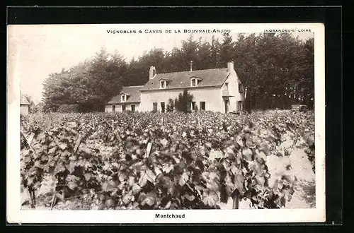 AK Ingrandes-sur-Loire, Vignobles et Cave de la Bouvraie-Anjou, Montchaud