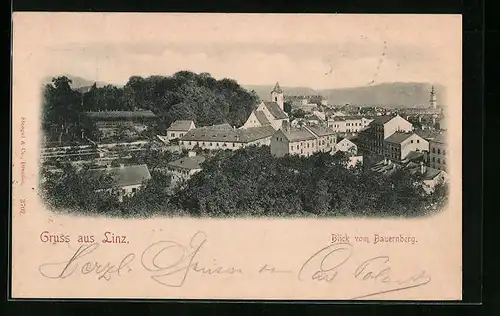 AK Linz, Blick vom Bauernberg