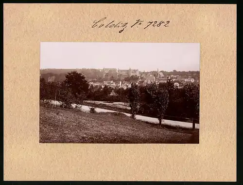 Fotografie Brück & Sohn Meissen, Ansicht Colditz, Panoramaansicht der Stadt vom Berg aus gesehen