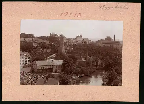 Fotografie Brück & Sohn Meissen, Ansicht Bautzen, Partie am Flussufer mit Gärtnerei