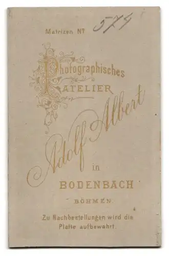 Fotografie Adolf Albert, Bodenbach /Böhmen, Halbwüchsiger Knabe in modischer Kleidung