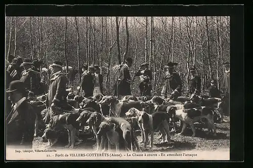 AK Villers-Cotterets, le Foret, la Chasse à courre, en attendant l'attaque