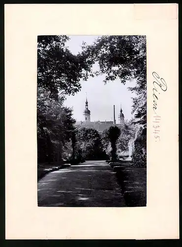 Fotografie Brück & Sohn Meissen, Ansicht Riesa a. Elbe, Partie im Stadtpark