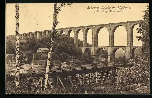 AK Wechselburg /Sa., Göhrener Brücke im Muldental