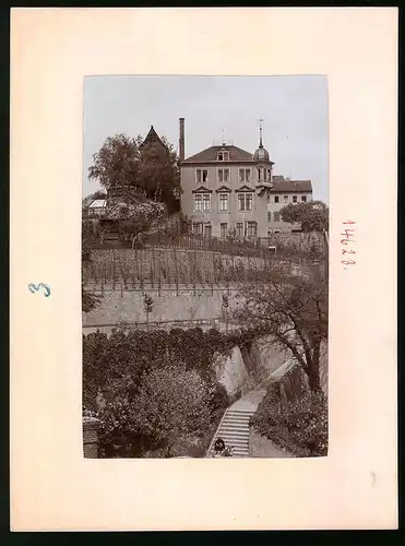 Fotografie Brück & Sohn Meissen, Ansicht Meissen i. Sa., Aufgang mit Blick auf die Landwirtschaftsschule