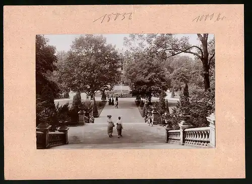 Fotografie Brück & Sohn Meissen, Ansicht Freiberg / Sachsen, Albertpark mit Wasserfontäne