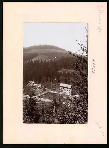 Fotografie Brück & Sohn Meissen, Ansicht Bärenburg i. Erzg., Blick auf das Hotel Schäfermühle