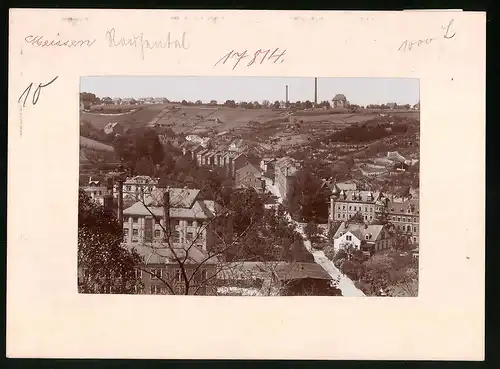 Fotografie Brück & Sohn Meissen, Ansicht Meissen i. Sa., Blick auf die Rauhentalstrasse, Weinberge