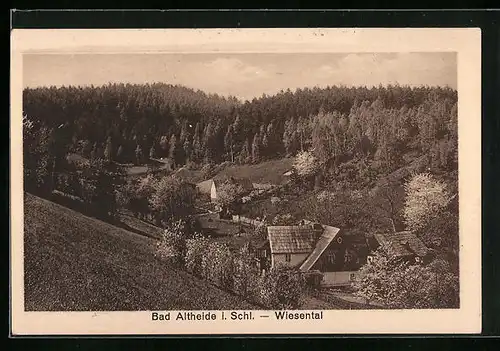 AK Bad Altheide i. Schl., Wiesental aus der Vogelschau