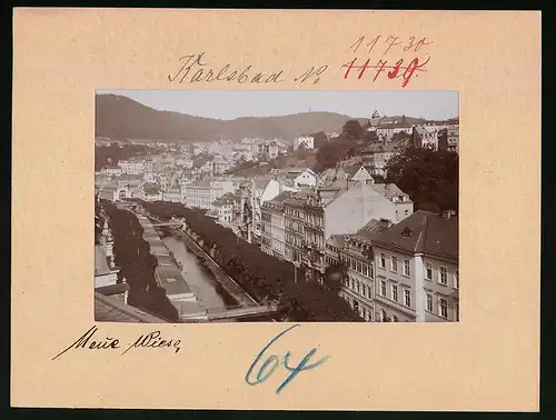 Fotografie Brück & Sohn Meissen, Ansicht Karlsbad, Neue Wiese mit Blick über die Stadt