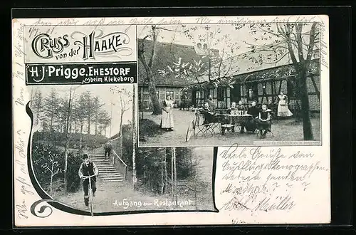 AK Ehestorf /Haake, Restaurant H. J. Prigge mit Terrassen