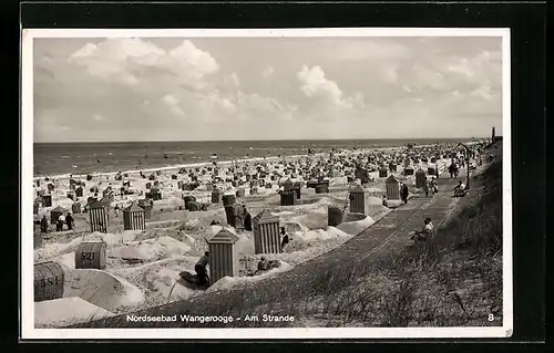 AK Wangerooge, Belebter Strand mit Badegästen