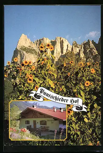 AK Seis, Gasthaus Puntschieder Hof, St. Vigil 11, Felsen mit Sonnenblumen