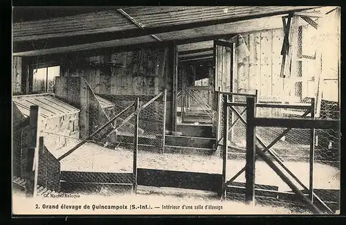 AK Quincampoix, Grand élevage, Intérieur d`une salle d`élevage