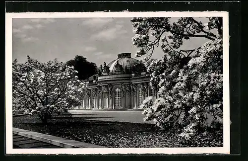 AK Potsdam, Schloss Sanssouci