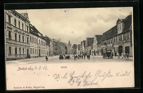 AK Zerbst, Partie an der Strasse Heide mit Blick auf Turm