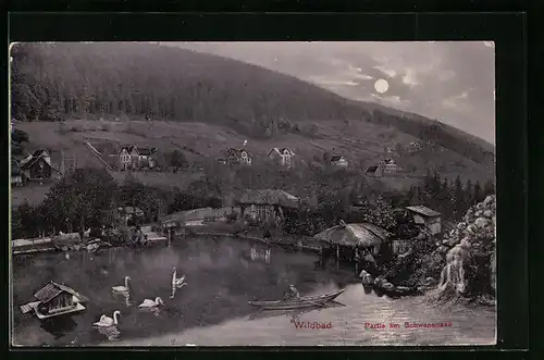 AK Wildbad, Partie am Schwanensee mit Boot bei Mondschein