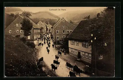 AK Lerbach im Harz, Strasse mit Kuhherde aus der Vogelschau