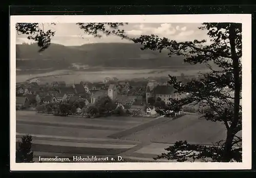 AK Immendingen a. D., Fliegeraufnahme der Ortschaft