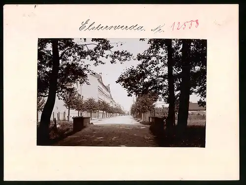 Fotografie Brück & Sohn Meissen, Ansicht Elsterwerda, Blick in die Elsterstrasse mit Wohnhäusern