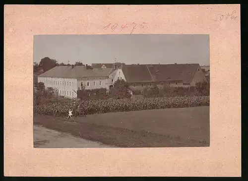 Fotografie Brück & Sohn Meissen, Ansicht Mohlis, Blick auf das untere Gut