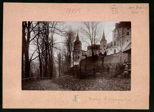 Fotografie Brück & Sohn Meissen, Ansicht Neuhausen i. Sa., Partie am Schloss Purschenstein