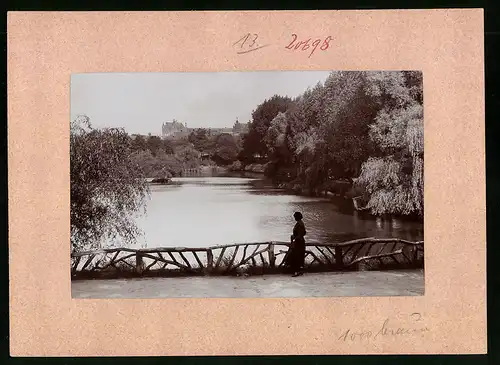 Fotografie Brück & Sohn Meissen, Ansicht Wittenberg / Elbe, Partie am Schwanenteich mit Blick auf den Ort