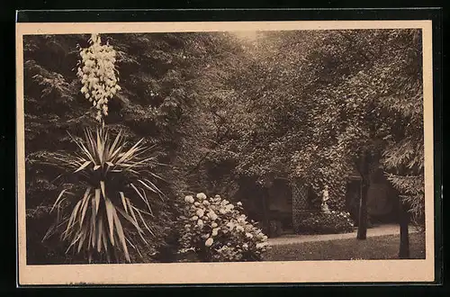 AK Bad Soden am Taunus, Garten im Europäischen Hof