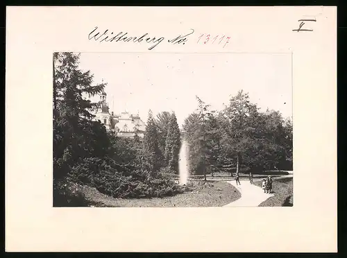 Fotografie Brück & Sohn Meissen, Ansicht Wittenberg / Elbe, Partie in den Anlagen mit Blick auf die Villa