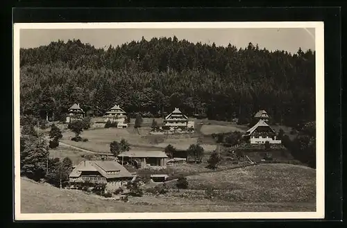 AK Hinterzarten im Schwarzwald, Häuser am Waldrand