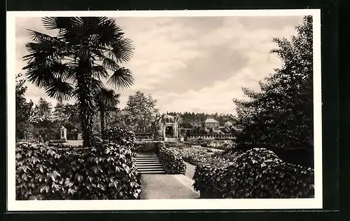 AK München-Nymphenburg, Botanischer Garten - Blick über den Schmuckhof zum Kaffeehaus