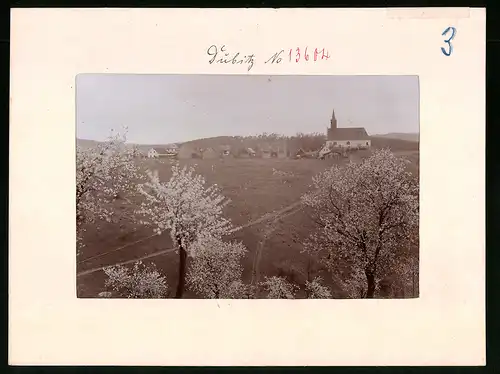 Fotografie Brück & Sohn Meissen, Ansicht Dubitz, Blick auf das Dubitzer Kirchl in der Baumblüte