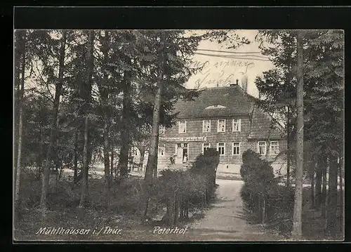 AK Mühlhausen i. Thür., Peterhof zwischen Bäumen