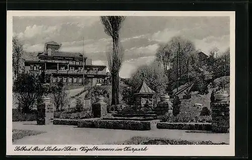 AK Bad Sulza /Th., Vogelbrunnen im Kurpark