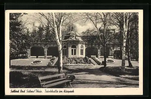 AK Bad Sulza /Th., Trinkhalle und Anlagen im Kurpark