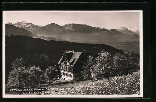 AK Fluh b. Bregenz, Hotel-Pension Adler