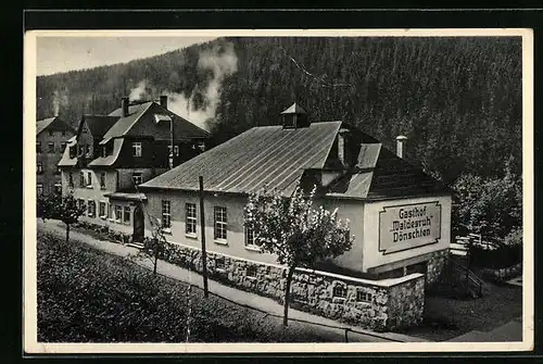 AK Dönschten b. Schmiedeberg i. Erzgeb., Gasthof Waldesruh