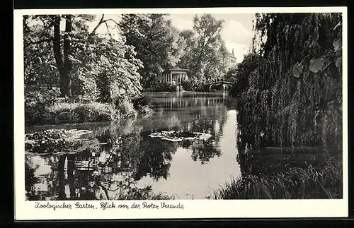 AK Berlin, Zoologsicher Garten, Blick von der Roten Veranda, Restaurationsbetrieb i. d. Budapester Strasse 20