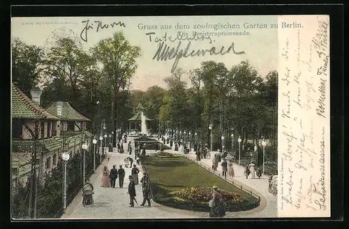 AK Berlin, Dreisternpromenade im Zoologischen Garten aus der Vogelschau