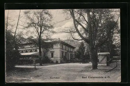 AK Bad Freienwalde, Strassenpartie mit Kurhaus