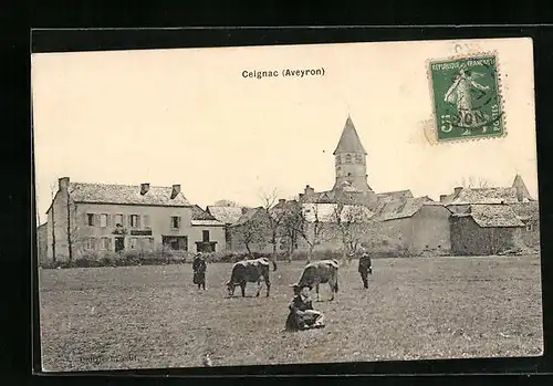 AK Ceignac, weidende Kühe vor der Stadt