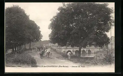 AK Harréville-les-Chanteurs, Avenue du Pont