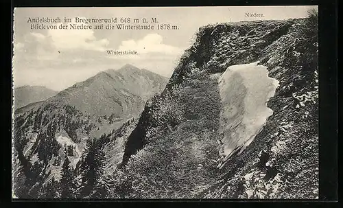 AK Andelsbuch, Blick von der Niedere auf die Winterstaude