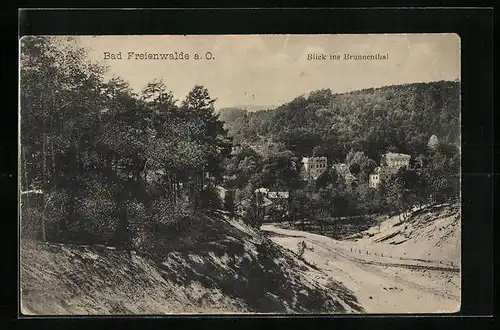 AK Bad Freienwalde a. O., Blick ins Brunnenthal