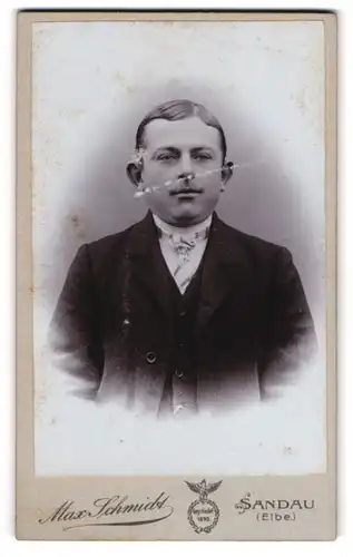 Fotografie Max Schmidt, Sandau / Elbe, Portrait junger Mann mit Scheitel im Jackett