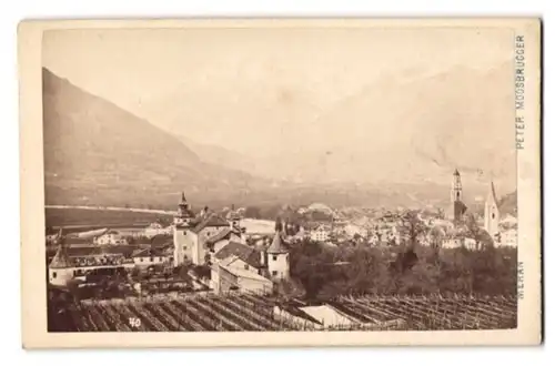 Fotografie Peter Moosbrugger, Meran, Ansicht Meran-Obermais, Blick über den Ort mit Weinstöcken und Kirche