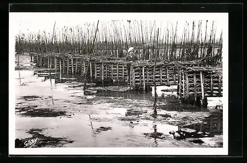 AK Andernos-les-Bains, Parcs à huitres