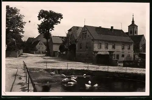 Fotografie Brück & Sohn Meissen, Ansicht Zadel, Dorfstrasse am Gänseteich mit Wohnhäusern