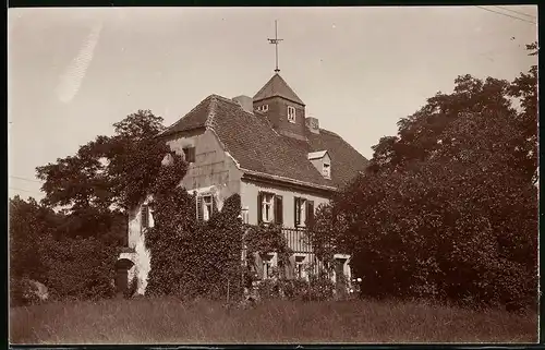 Fotografie Brück & Sohn Meissen, Ansicht Diesbar, Blicka uf dsa zugewachsene Forsthaus Golk